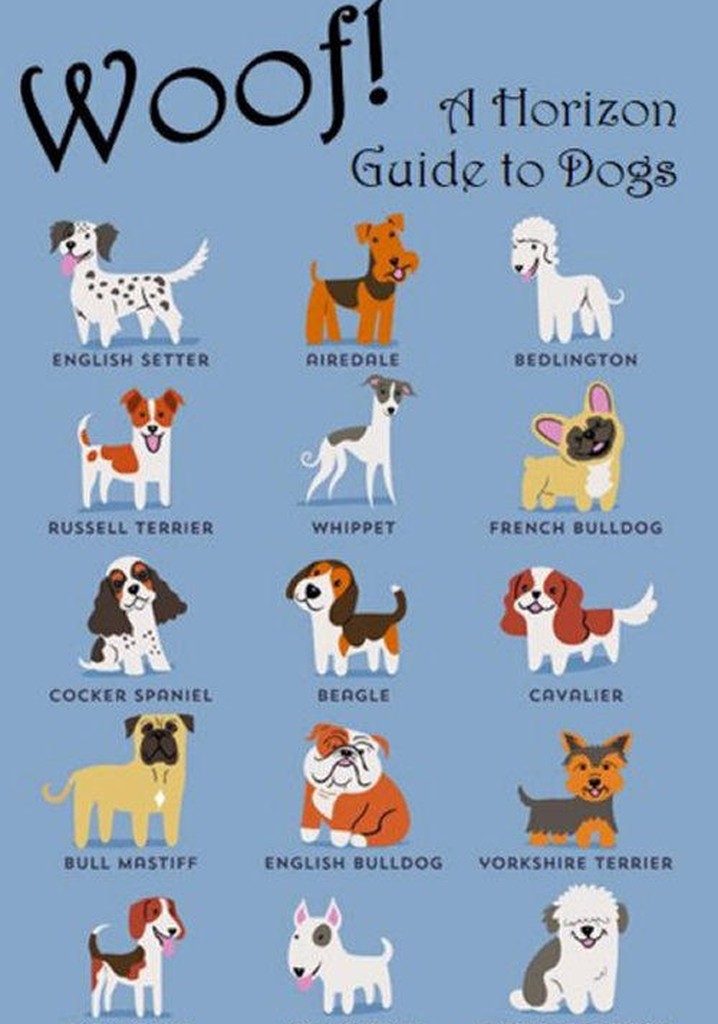 Woof! A Horizon Guide to Dogs