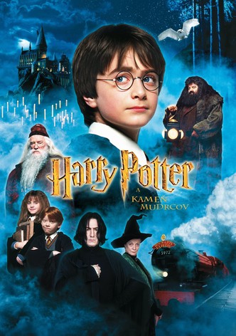Harry Potter a Kameň mudrcov