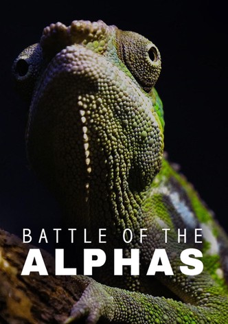 Battle of the Alphas