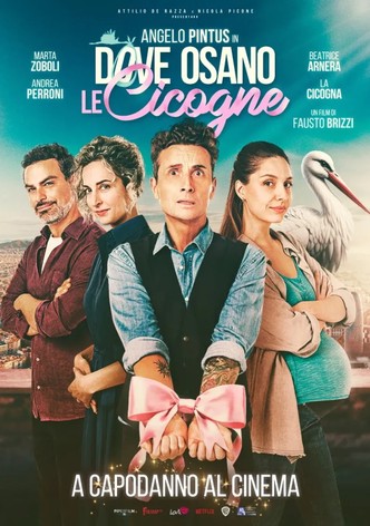 Dove osano le cicogne