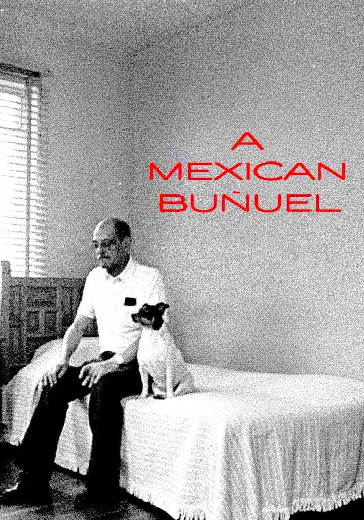 A Mexican Buñuel