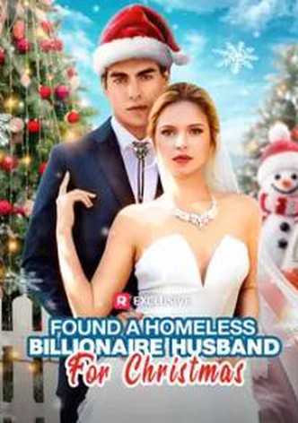 Found a Homeless Billionaire Husband for Christmas