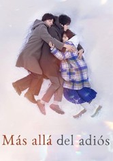 Más allá del adiós - Miniserie