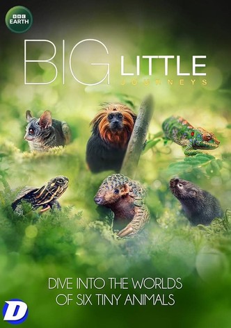 Big Little Journeys