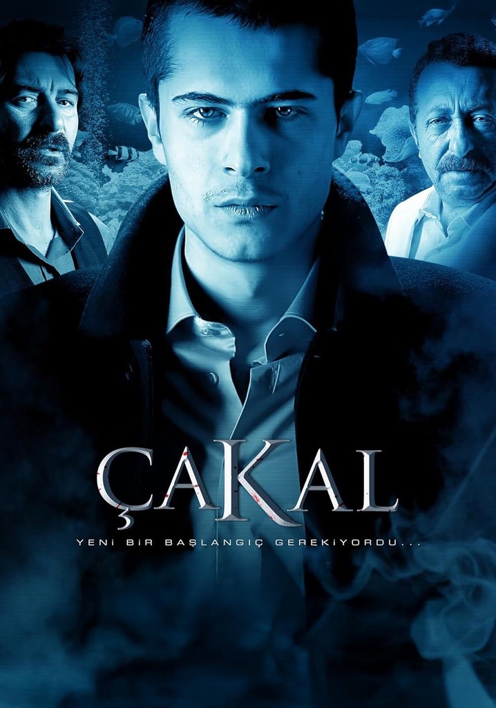 Çakal