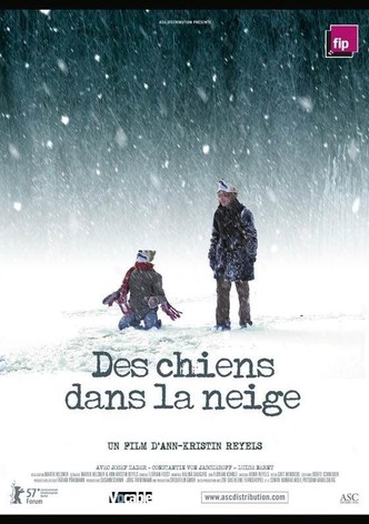 Des chiens dans la neige