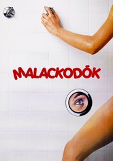 Malackodók