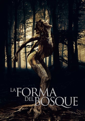 La forma del bosque