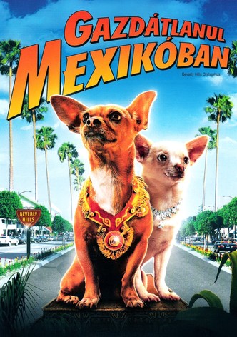 Gazdátlanul Mexikóban