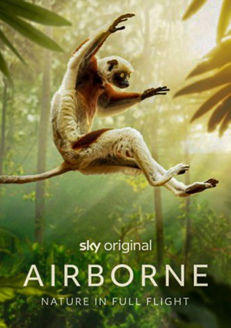 Airborne