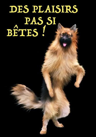 Des plaisirs pas si bêtes