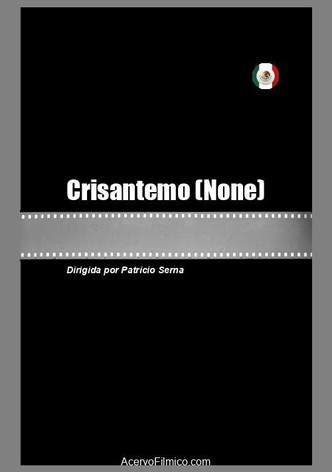 Crisantemo