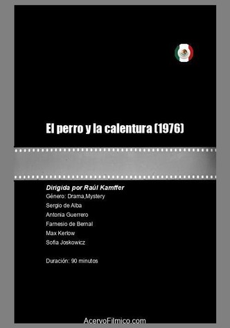 El perro y la calentura