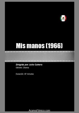 Mis manos
