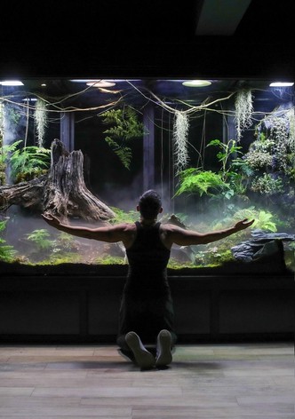 My Giant Cloud Rainforest Vivarium