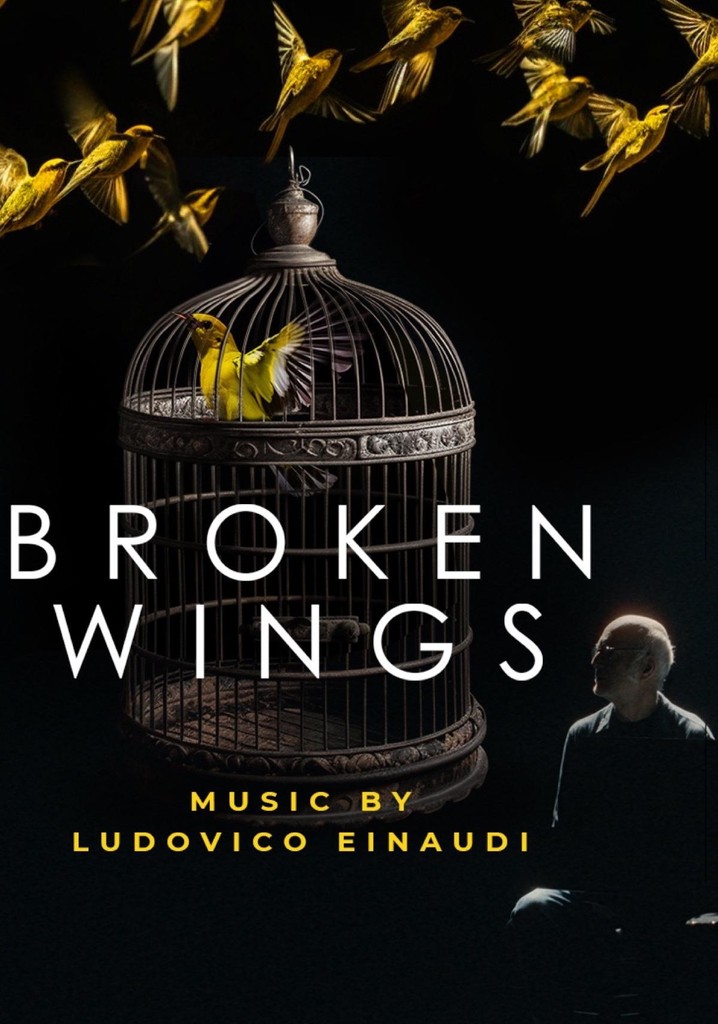 Broken Wings