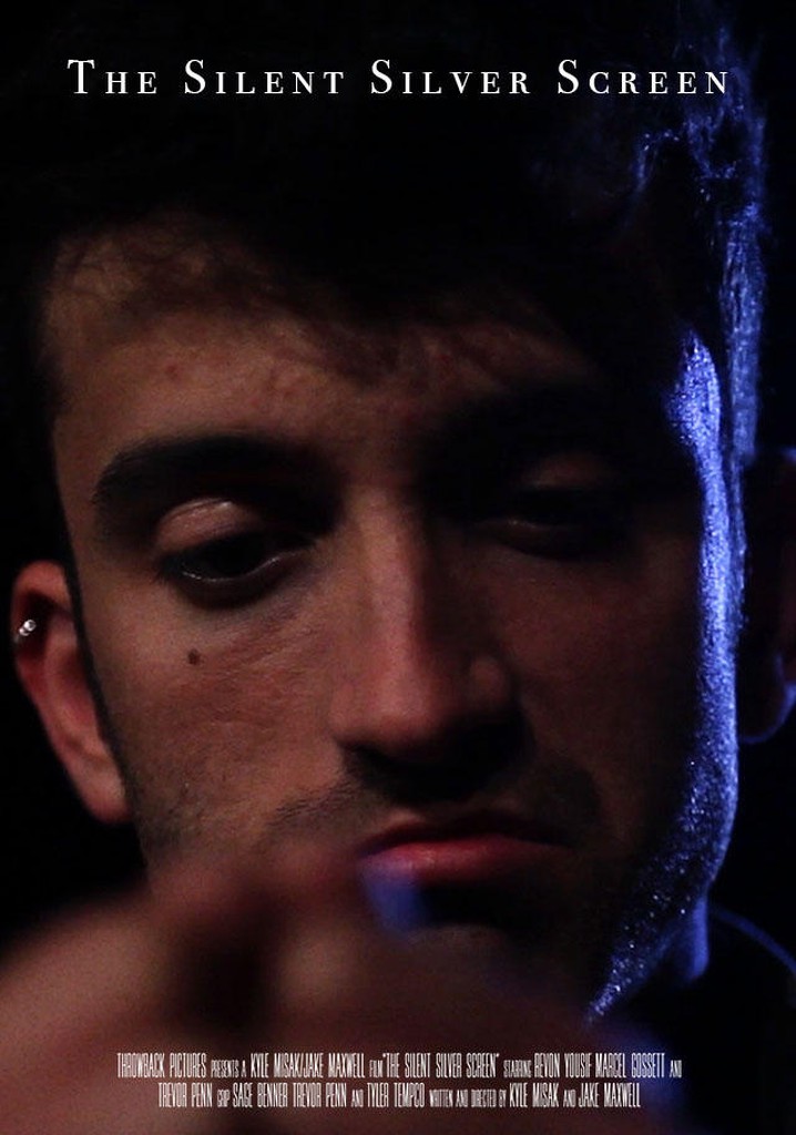 The Silent Silver Screen