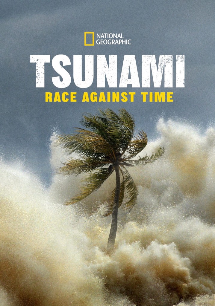 Tsunami: Race Against Time