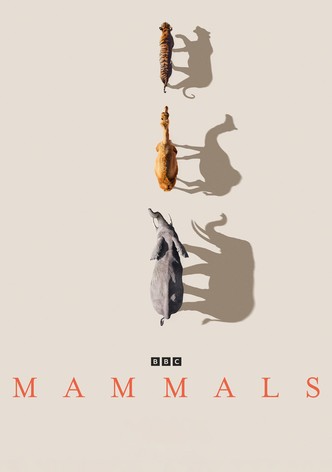 Mammals