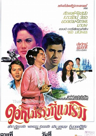 ดอกไม้ร่วงที่แม่ริม
