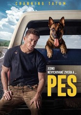 Pes