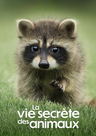 La vie secrète des animaux