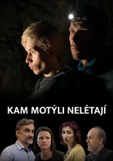 Kam motýli nelétají