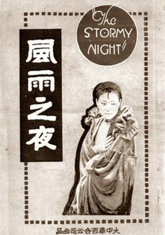 The Stormy Night