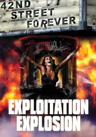 42nd Street Forever, Volume 3: Exploitation Explosion