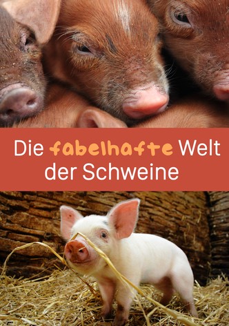Die fabelhafte Welt der Schweine