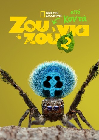 2ος κύκλος