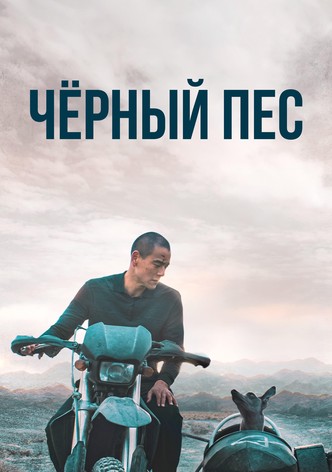 Чёрный пёс