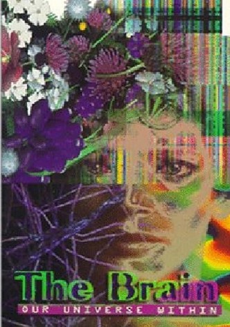The Brain: Our Universe Within