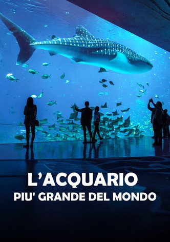 L'acquario più grande del mondo