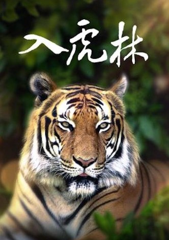 入虎林