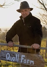 Die Welt der Tüpfelbeutelmarder