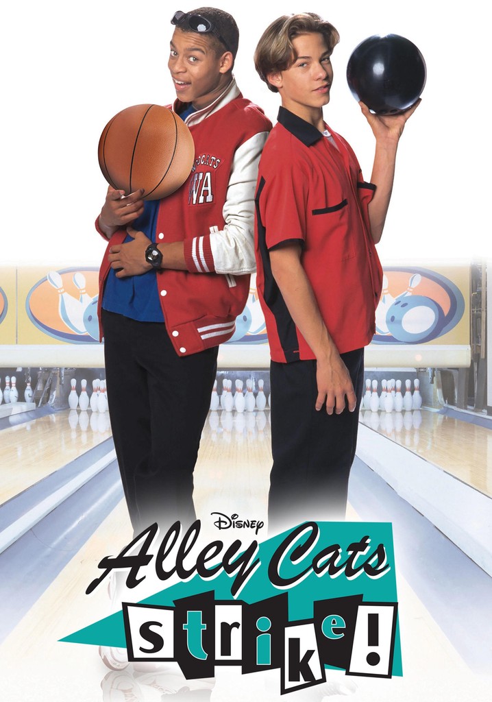 Alley Cats Strike
