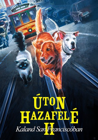 Úton hazafelé 2 - Kaland San Franciscóban