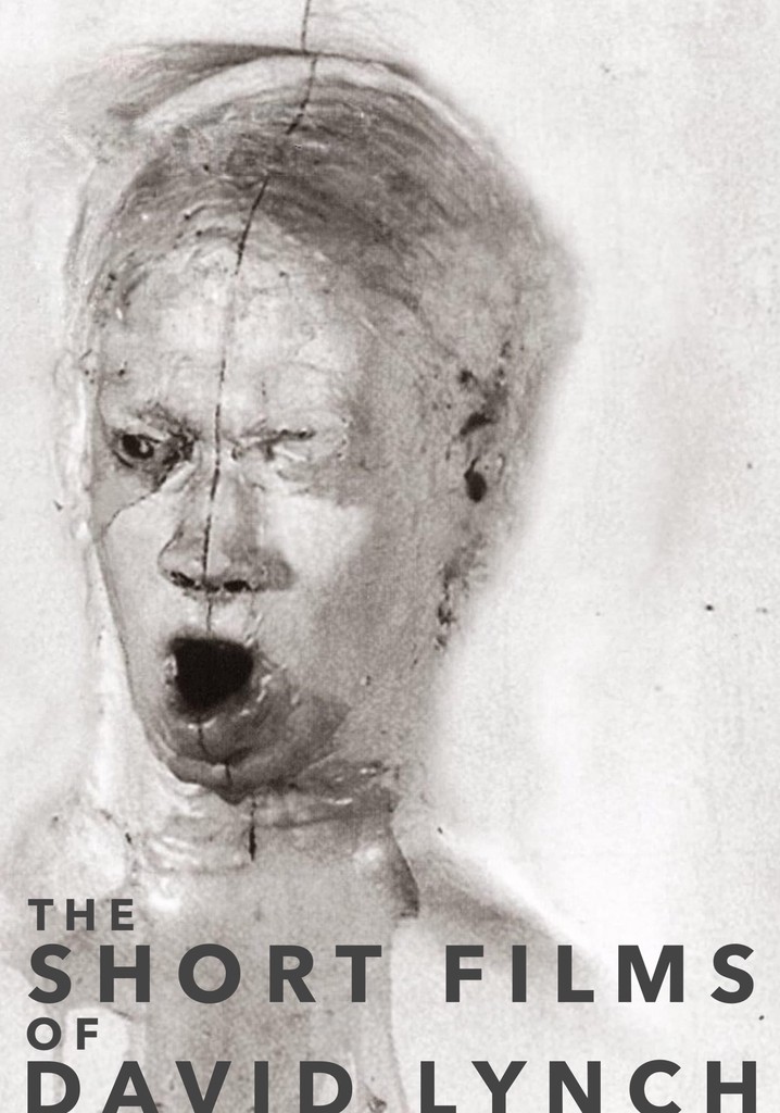The Short Films of David Lynch