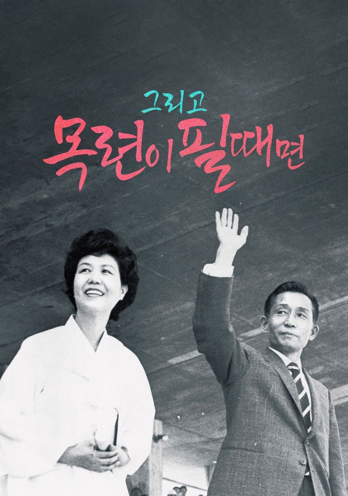 And When the Magnolia Bloom