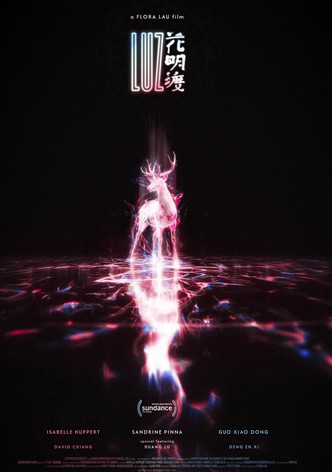 LUZ