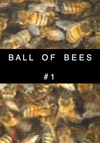 Bees