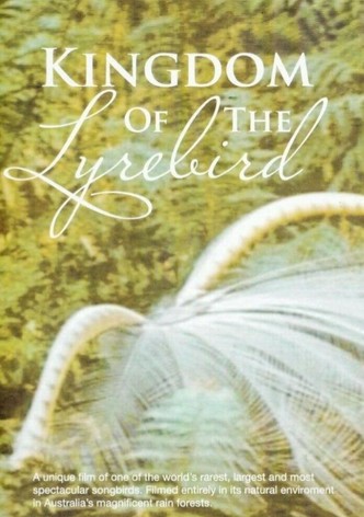 Kingdom Of The Lyrebird