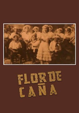 Flor de caña