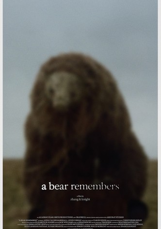 A Bear Remembers