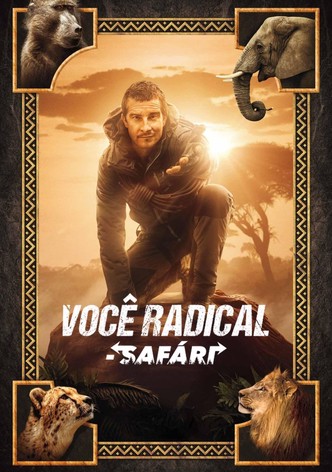 Escola de Sobrevivência: Um Safari Interativo