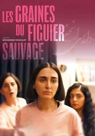 Les graines du figuier sauvage