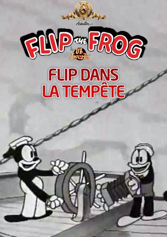 Flip dans la Tempête
