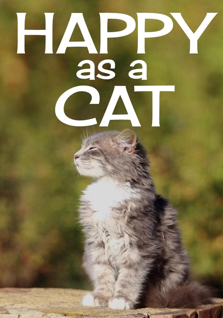 Happy as a Cat