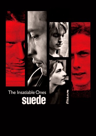 Suede: The Insatiable Ones